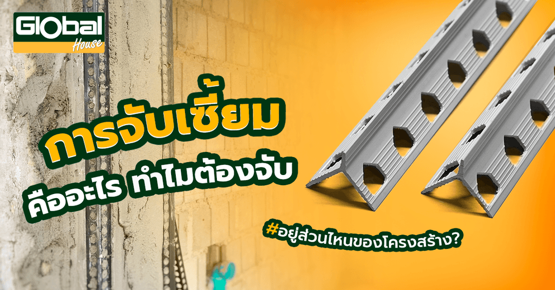 การจับเซี้ยมคืออะไร ทำไมต้องจับ และอยู่ส่วนไหนของโครงสร้าง