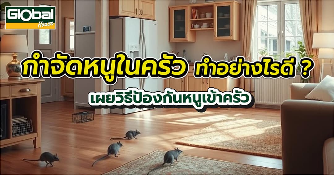 กำจัดหนูในครัว ทำอย่างไรดี? รวมวิธีป้องกันหนูเข้าครัว