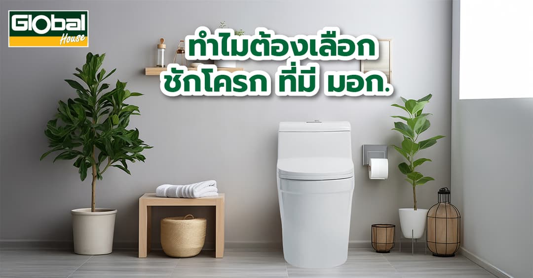 ทำไมต้องเลือกชักโครกที่มี มอก.