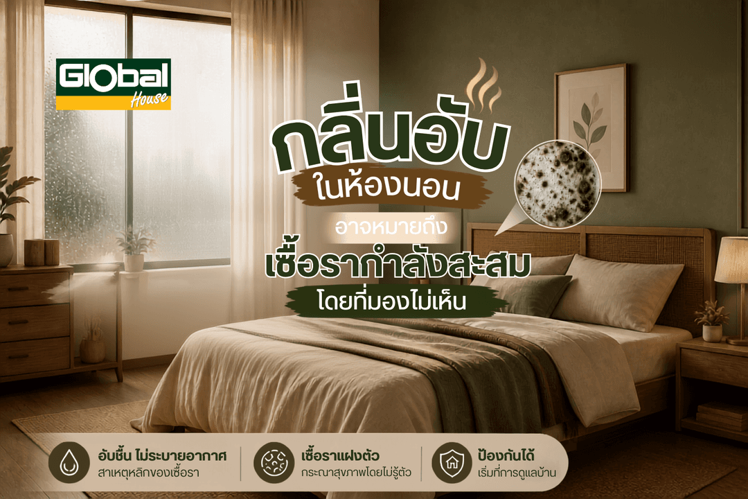 กลิ่นอับในห้องนอน อาจหมายถึงเชื้อรากำลังสะสมโดยที่มองไม่เห็น
